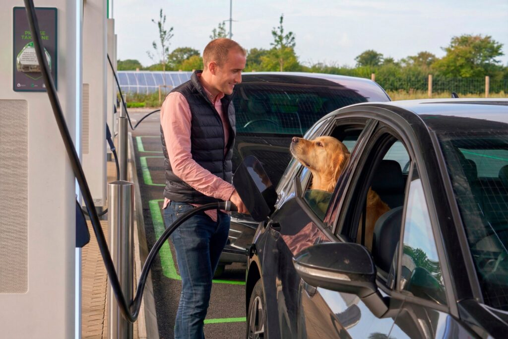 dogs at the GRIDSERVE Electric Forecourt
